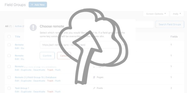 ACF Remote Sync